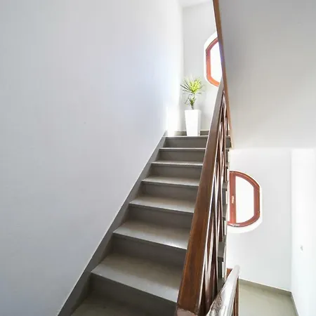 بيت ضيافة Nekic 1