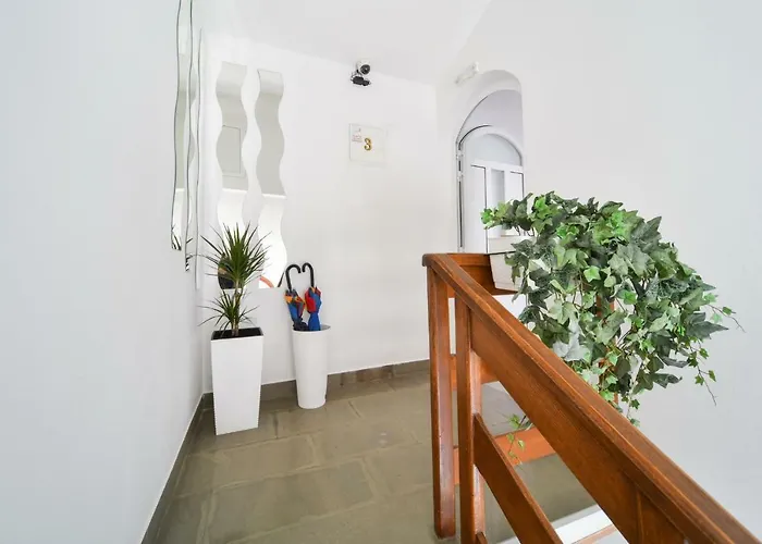 招待所 Nekic 1 扎达尔